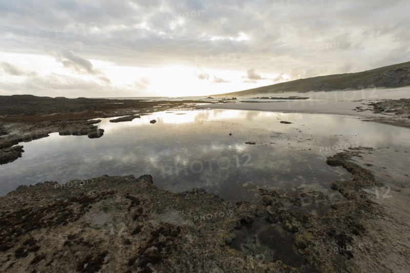 Tidal pools in Lekkerwater Nature Reserve
