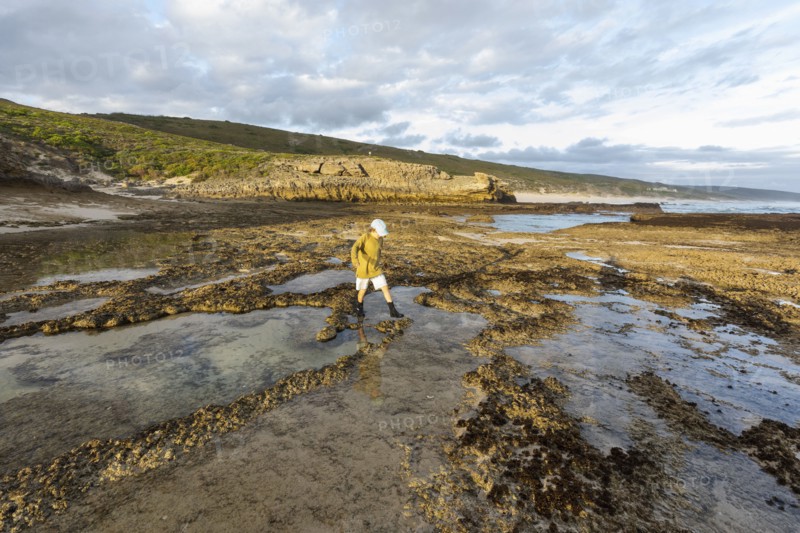 Boy exploring tidal pools