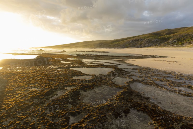 Tidal pools in Lekkerwater Nature Reserve
