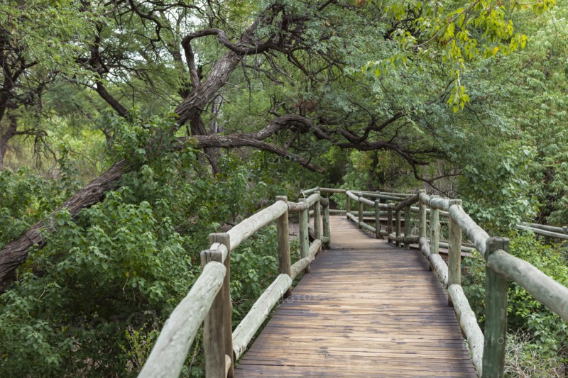Wooden walkway in Nambwa River Lodge