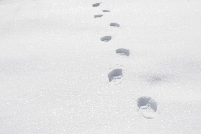 Footprints on snow