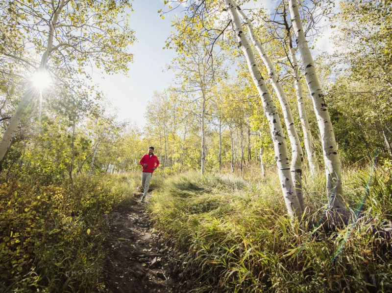 Man jogging in forest on sunny day