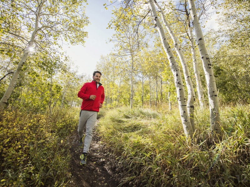 Man jogging in forest on sunny day