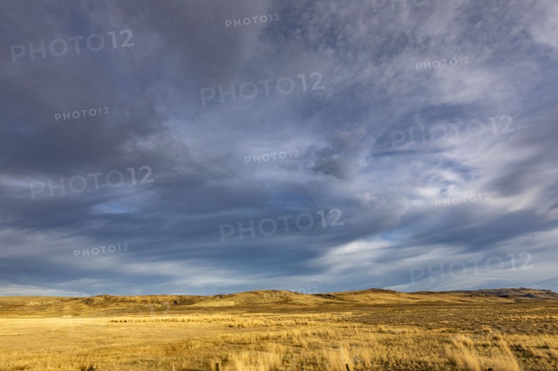 Golden grassland and stormy sky