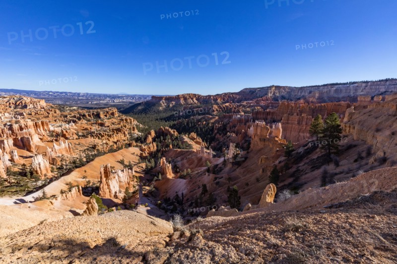 Hoodoo rock formations in canyon