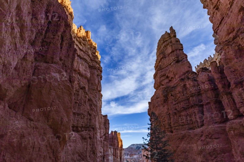 Hoodoo rock formations in canyon