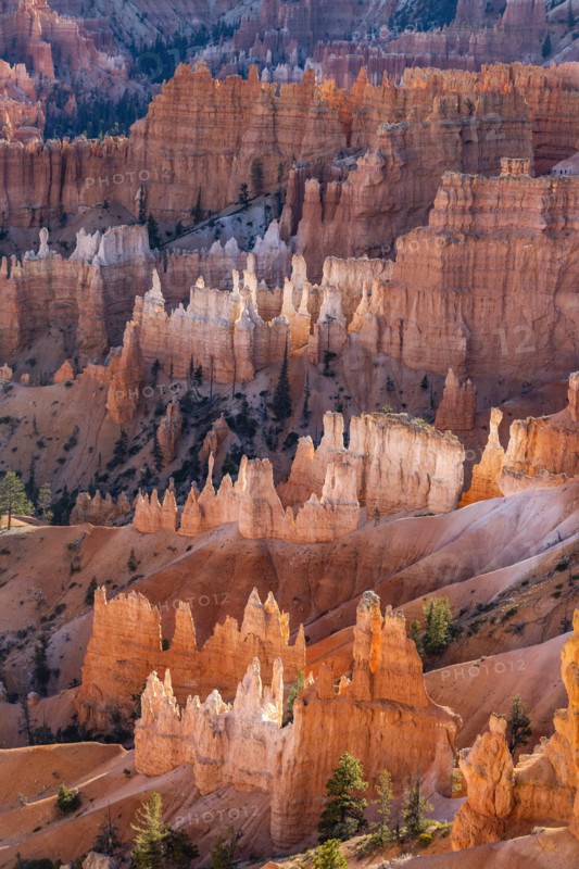 Hoodoo rock formations in canyon