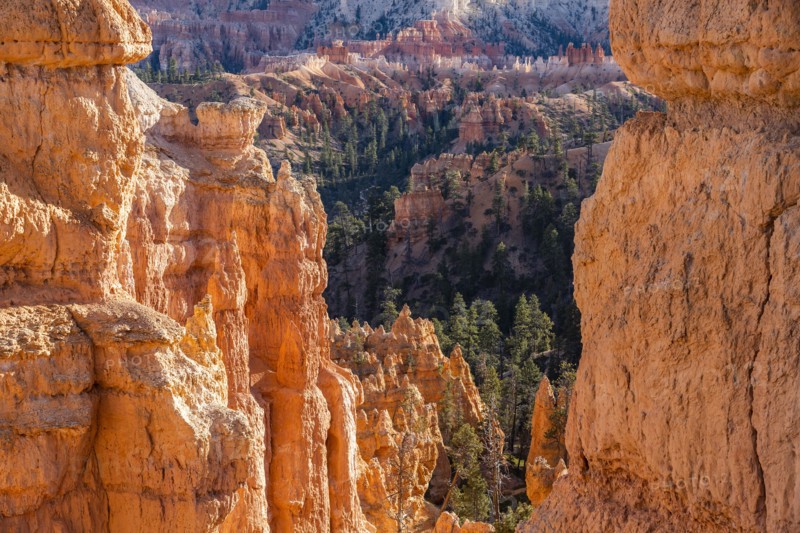 Hoodoo rock formations in canyon