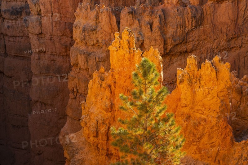 Hoodoo rock formations in canyon
