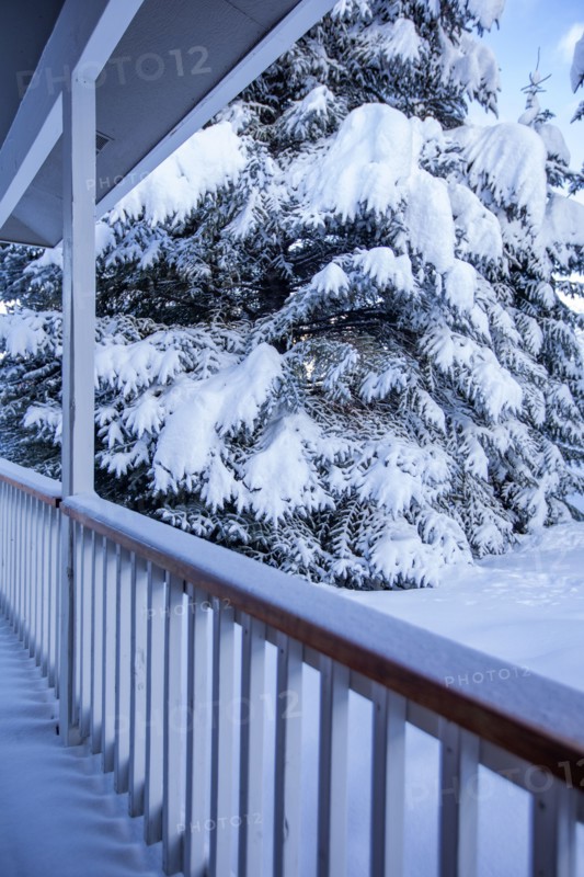 Fresh snow on fir trees seen from porch