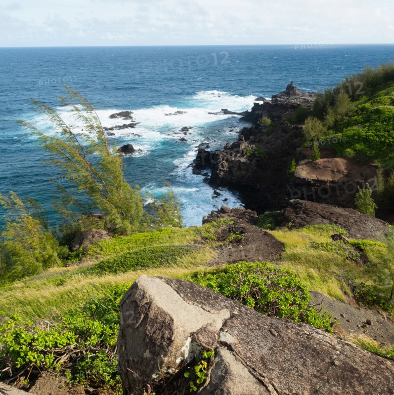 Sea coast in West Maui Natural Area Reserve