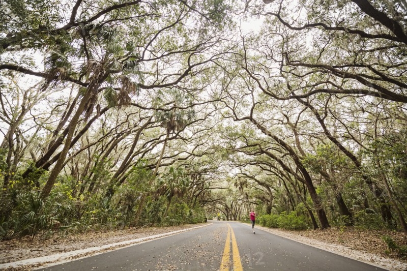 Woman jogging on treelined country road
