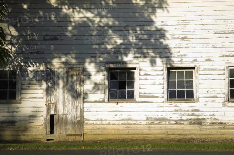 Maryland, Shadow of tree on barn side