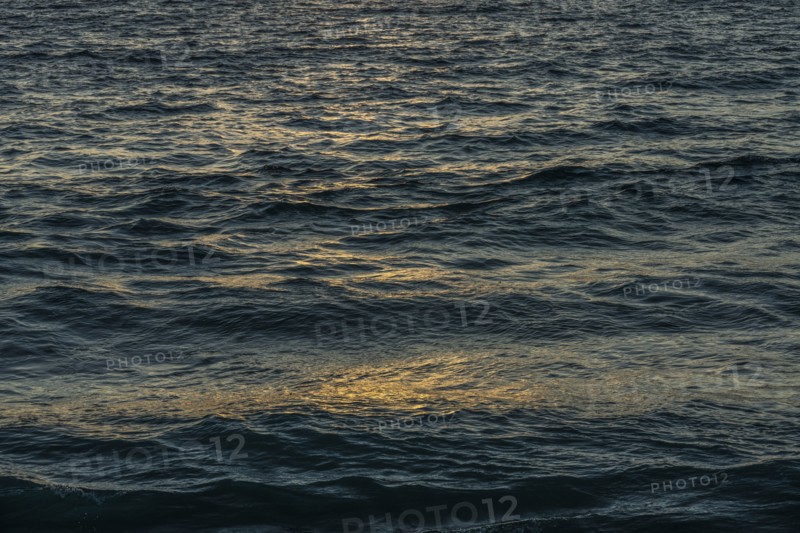 Dark early morning ocean waves reflecting golden sunlight