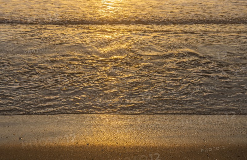 Ocean wave reflecting sunlight