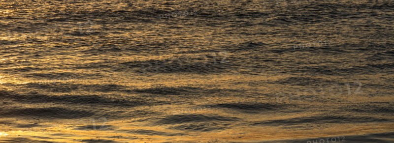 Calm ocean surface reflecting golden light at sunrise