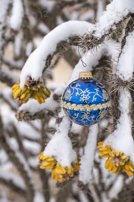 Close-up of Christmas ornament on snow covered cholla cactus