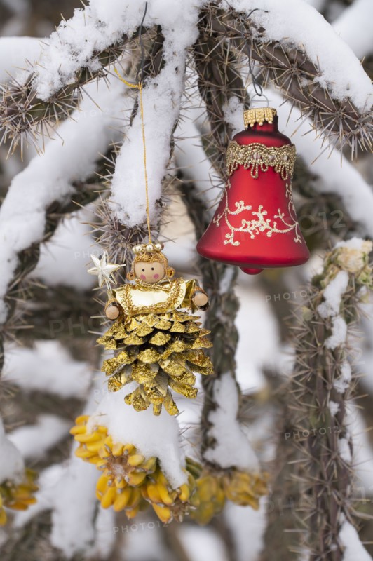 Close-up of Christmas ornaments on snow covered cholla cactus