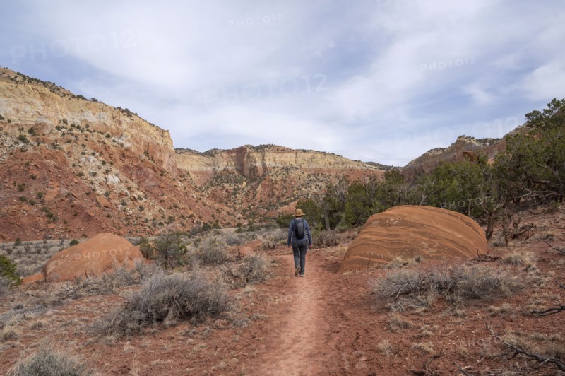 Rear view of woman hiking in desert landscape