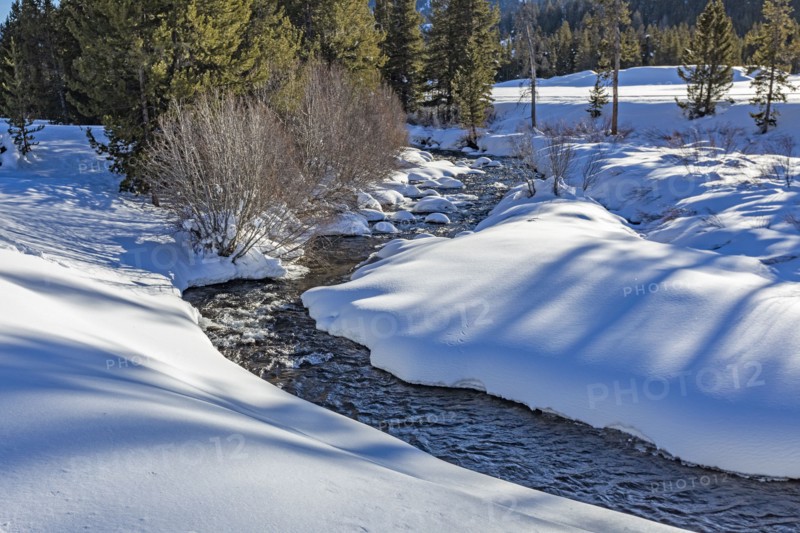 Creek in snow covered forest