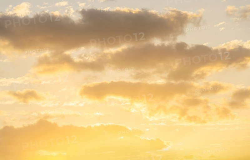 Cumulus clouds against pale golden sky at sunrise