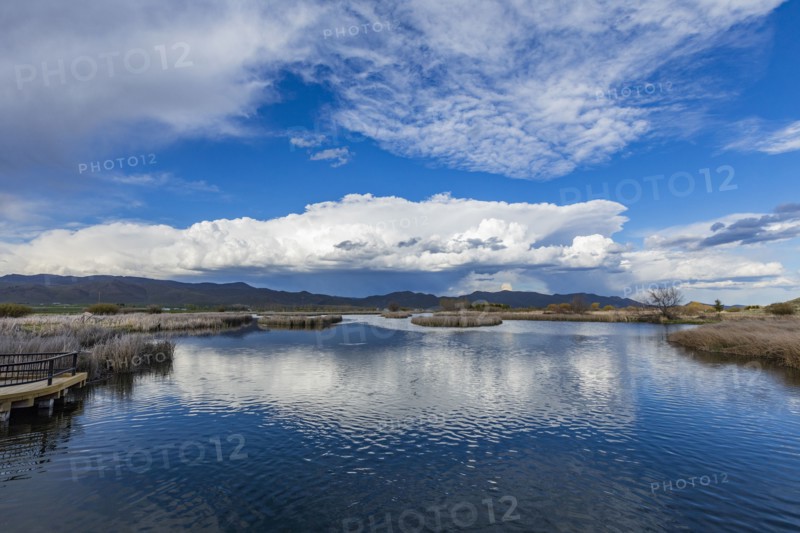 Clouds reflecting in pond