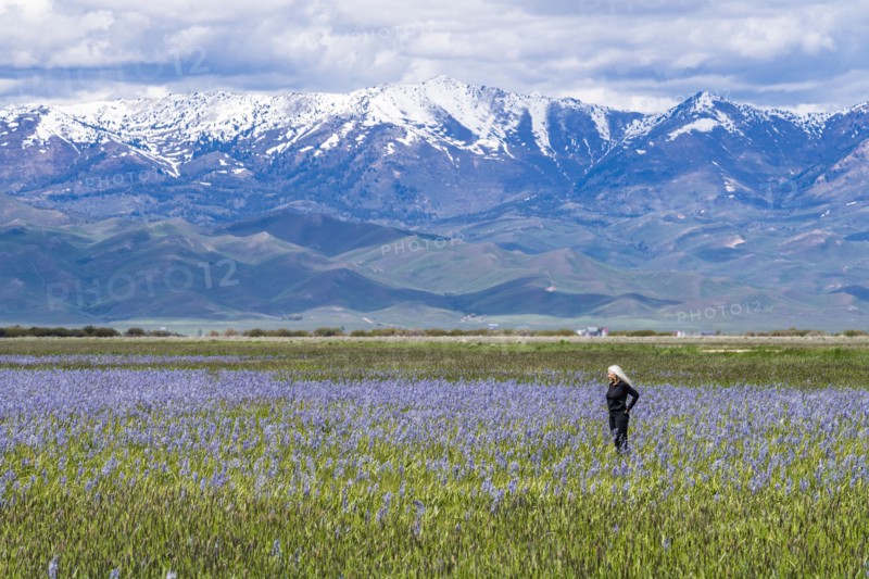 Senior woman standing in field of camas lilies with Soldier Mountain in background