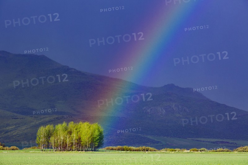 Rainbow in rural area