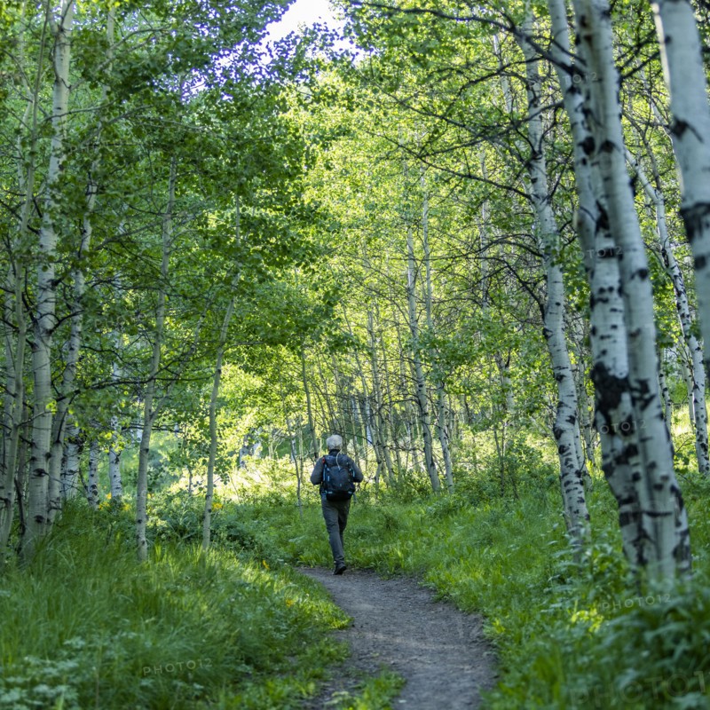 Senior man hiking in Sun Valley
