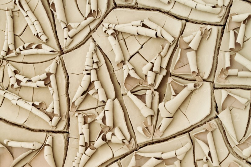 Cracked dried mud