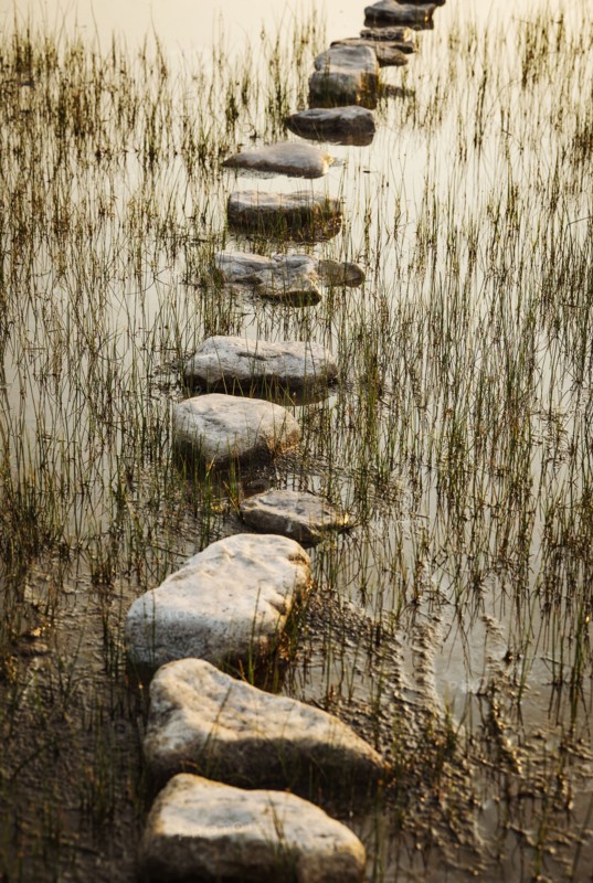 Stepping stones in lake