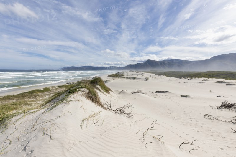 South Africa