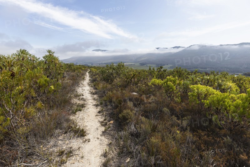 South Africa