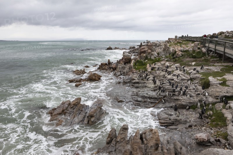 South Africa