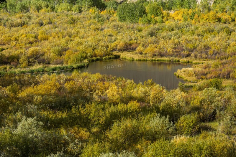 Beaver ponds in fall