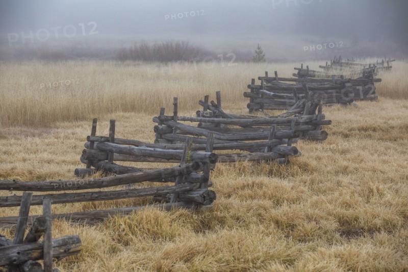 Rural scene with rail fence