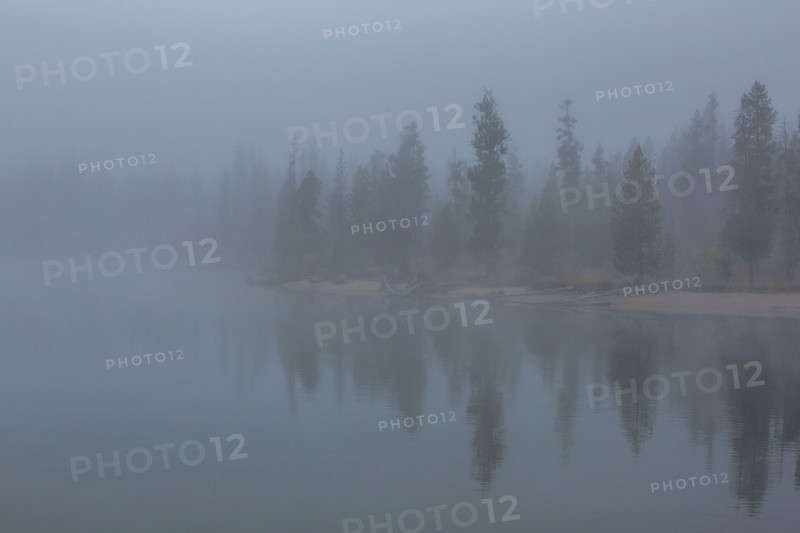 Trees reflection in lake at foggy autumn day