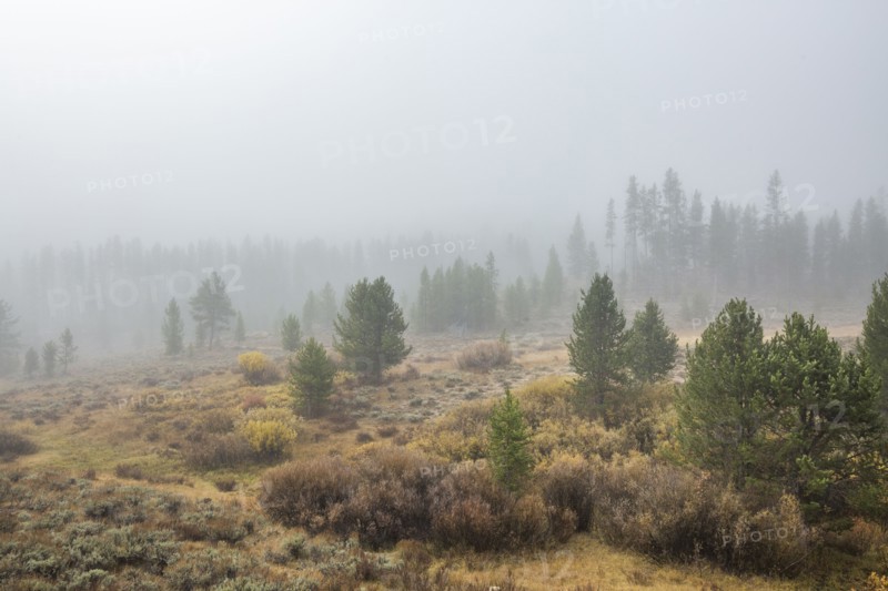 Foggy mountain scene