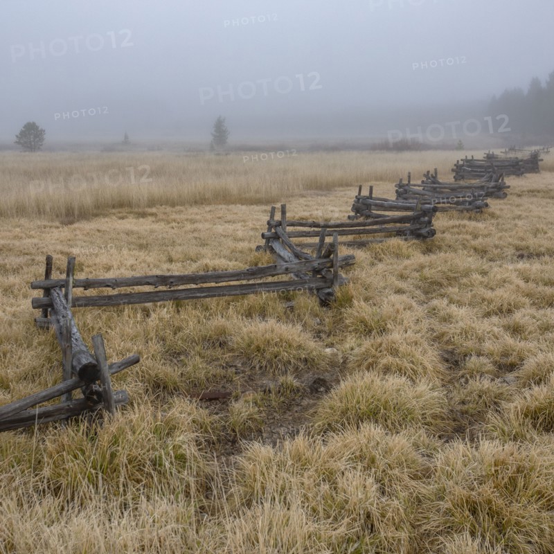 Rural scene with rail fence