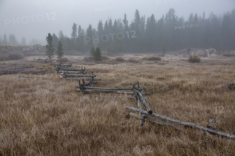 Rural scene with rail fence and forest