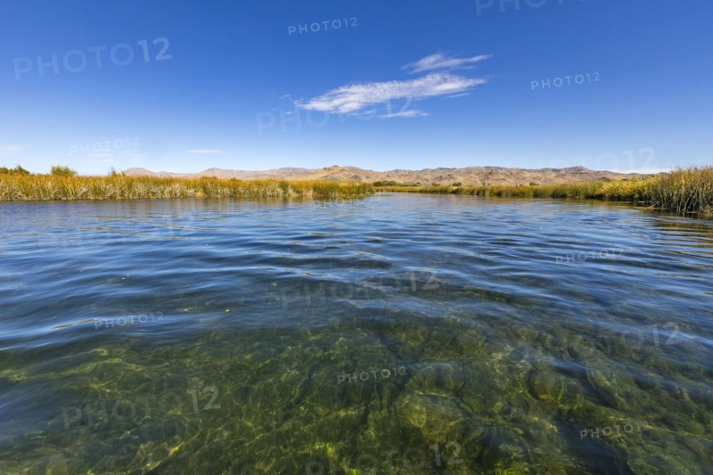 Pristine waters of spring creek