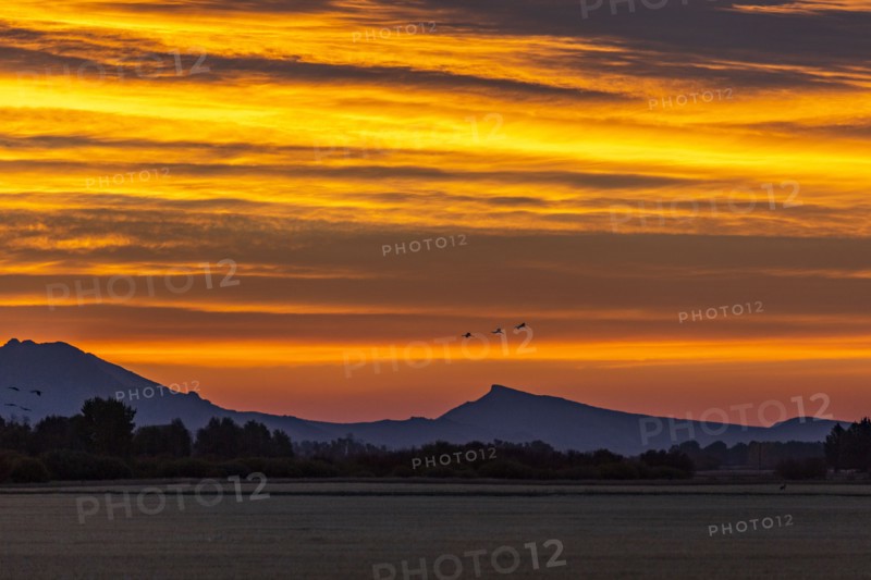 Sunrise over foothills