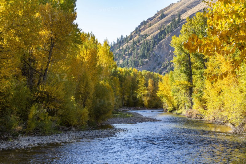 Big Wood river in fall