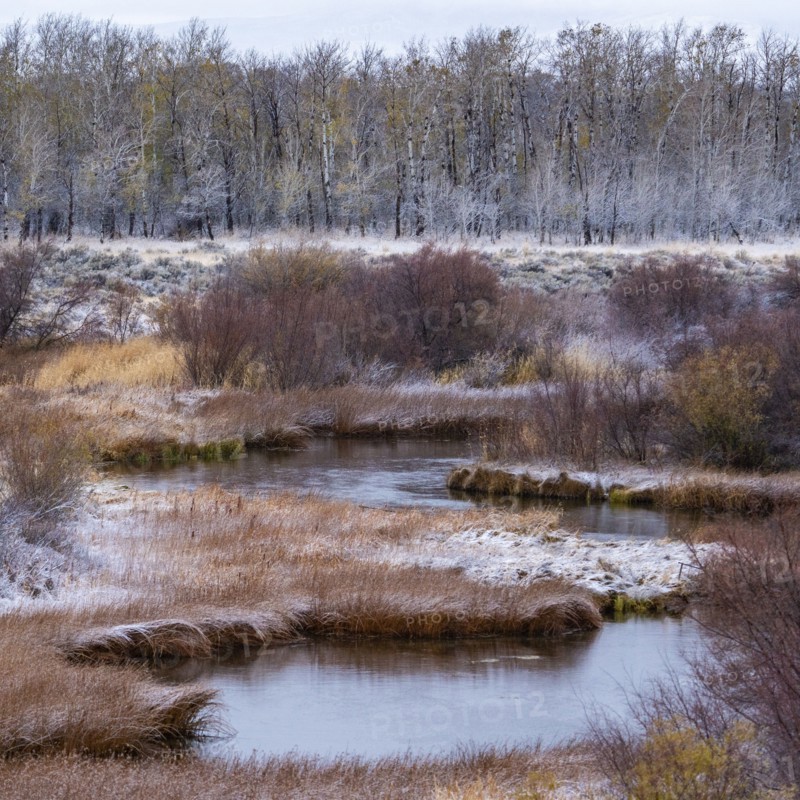 Seasonal change in landscape