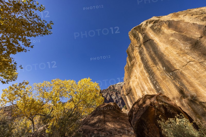 Rocks and autumn foliage
