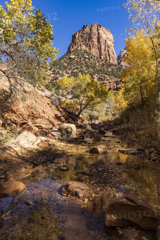 Creek and autumn foliage