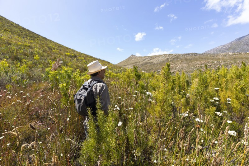 Senior male hiker standing among tall plants