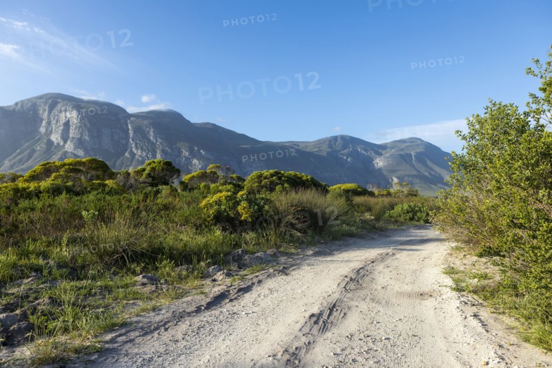 Dirt road and Klein mountains