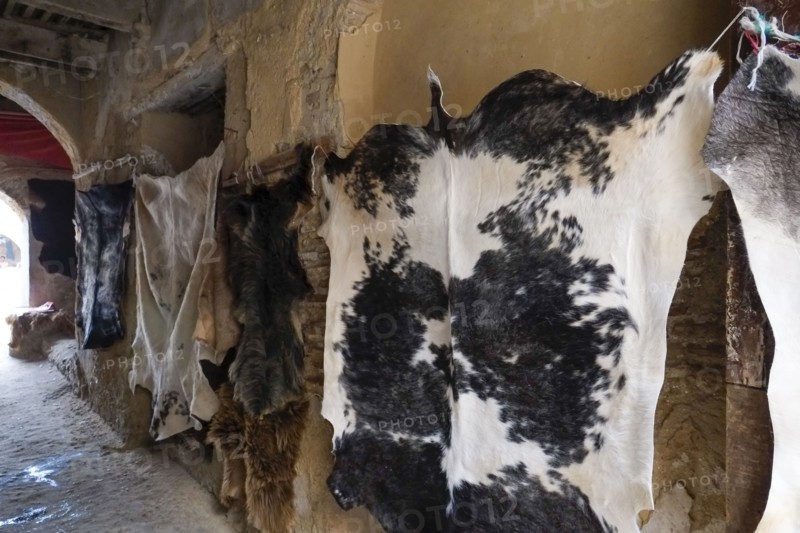 Cow hides hanging to dry in tannery