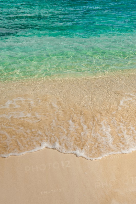 Sea wave on tropical beach